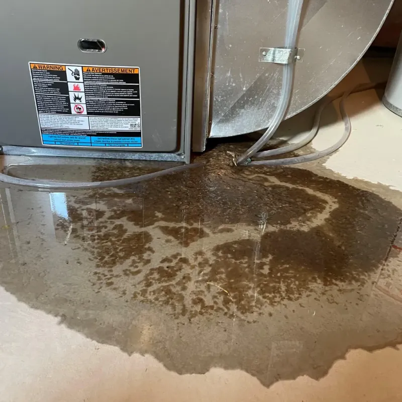 Appliance Leak Cleanup in Malone, FL